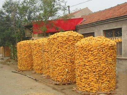上海圈玉米电焊网